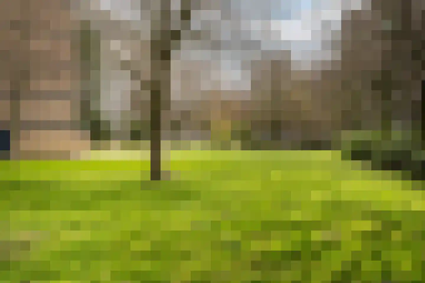 Lisztplein 56 Schiedam thumbnail 26