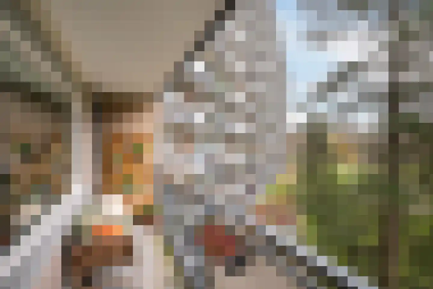 Lisztplein 56 Schiedam thumbnail 7