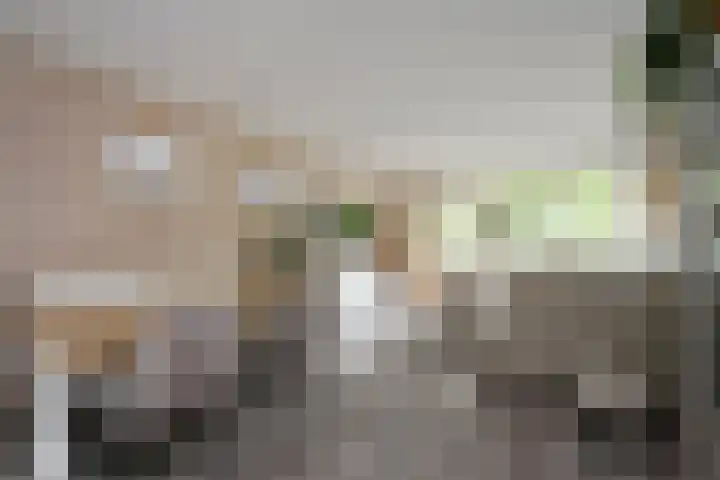 Lisztplein 57 Schiedam thumbnail 11