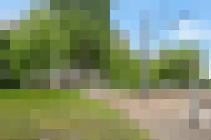 Lisztplein 57 Schiedam thumbnail 38