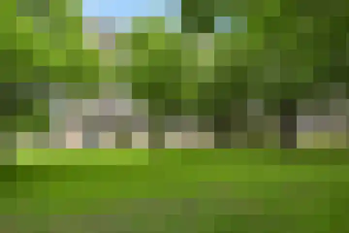 Lisztplein 57 Schiedam thumbnail 40
