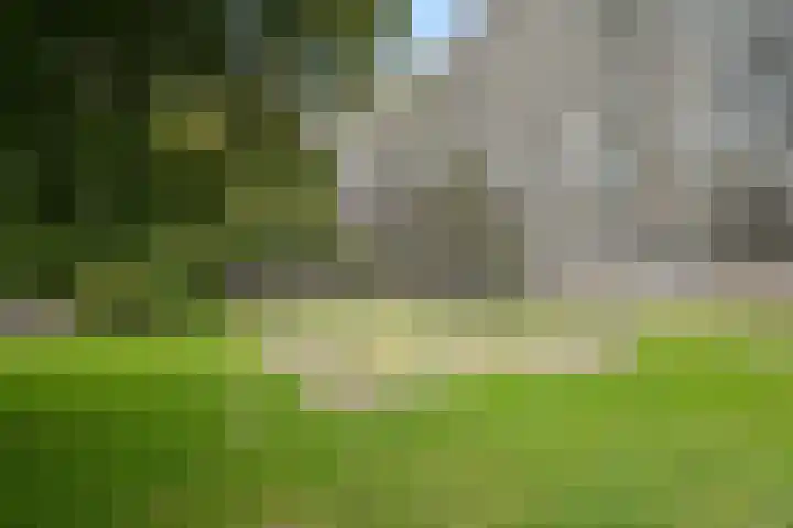 Lisztplein 57 Schiedam thumbnail 41