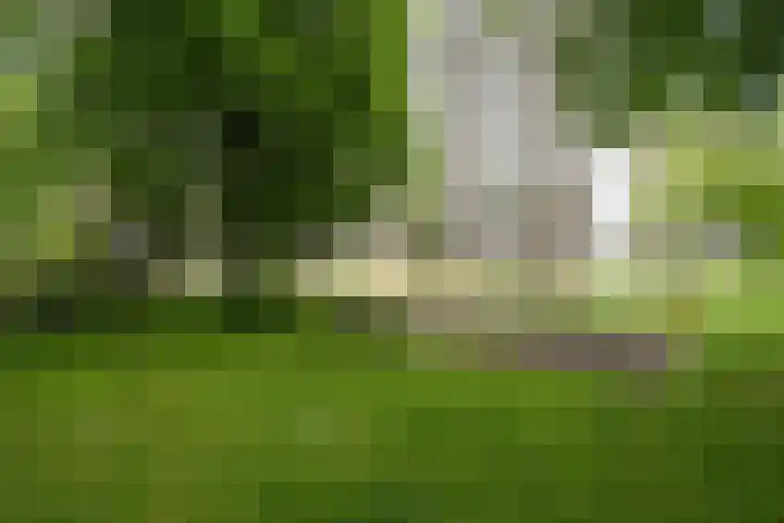 Lisztplein 57 Schiedam thumbnail 44
