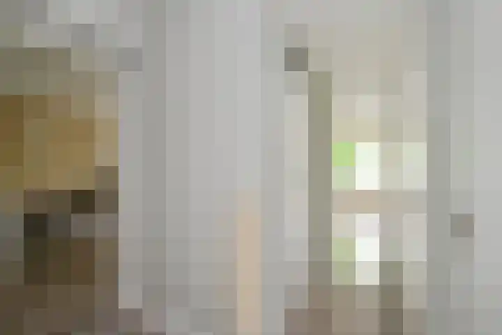 Lisztplein 57 Schiedam thumbnail 8