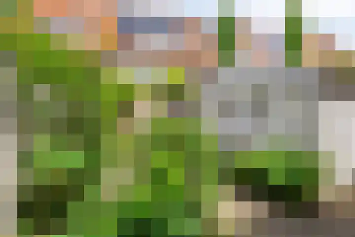 Lisztstraat 12 Arnhem thumbnail 11