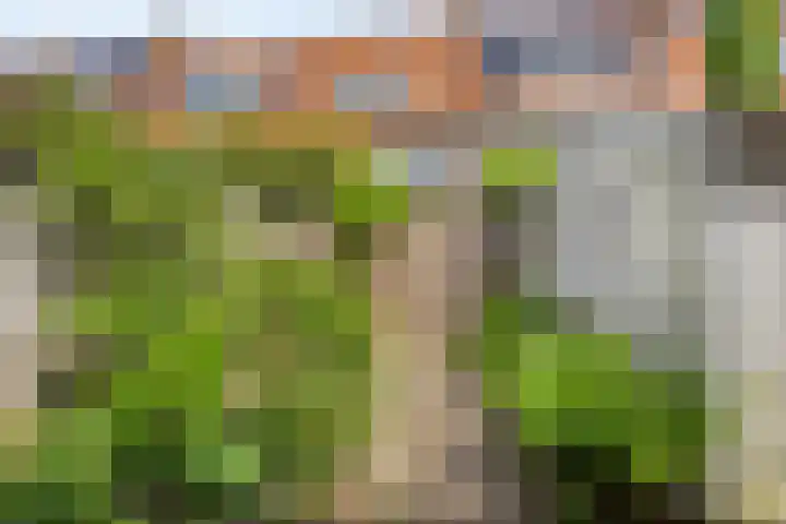 Lisztstraat 12 Arnhem thumbnail 12