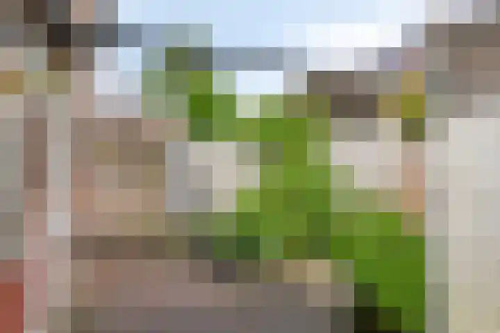 Lisztstraat 12 Arnhem thumbnail 14