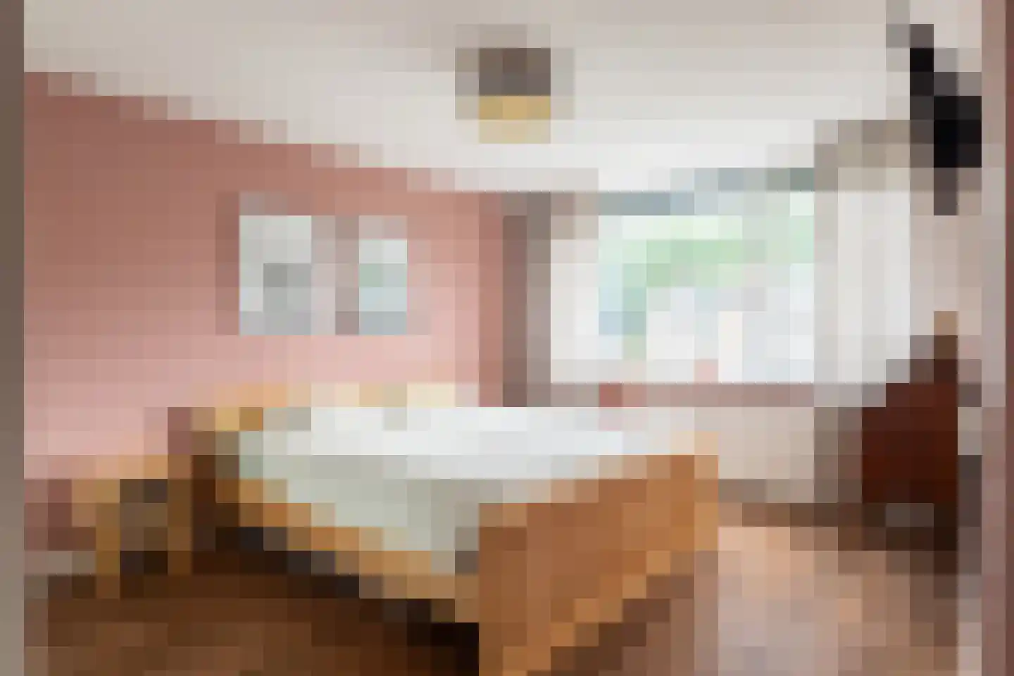 Lisztstraat 12 Dongen thumbnail 15