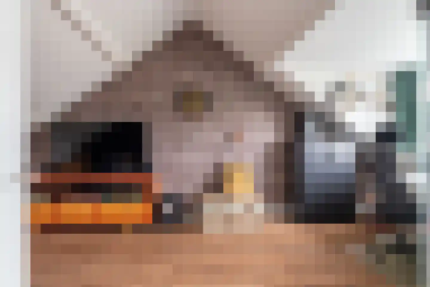 Lisztstraat 12 Dongen thumbnail 23