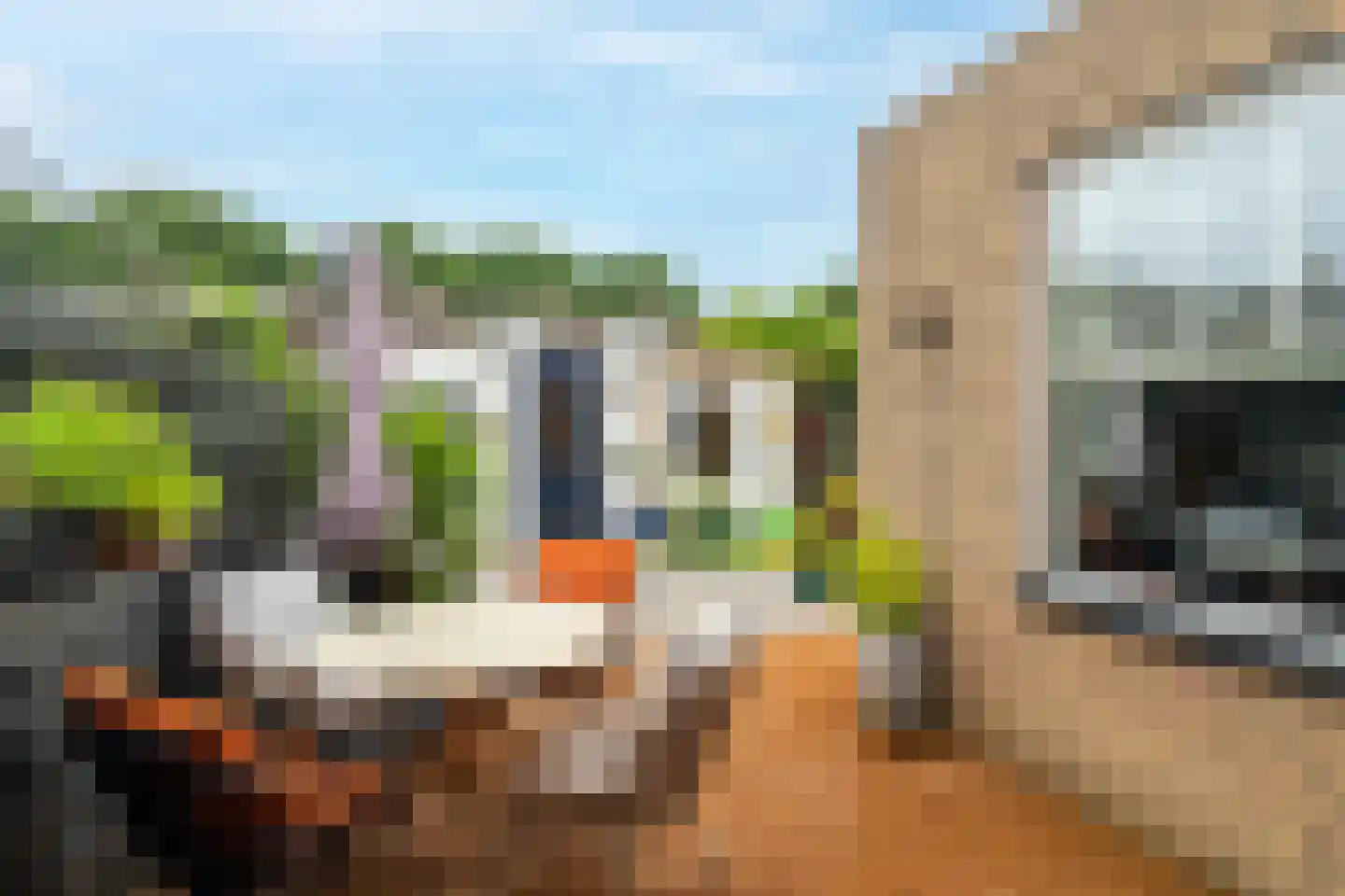 Lisztstraat 12 Dongen thumbnail 25