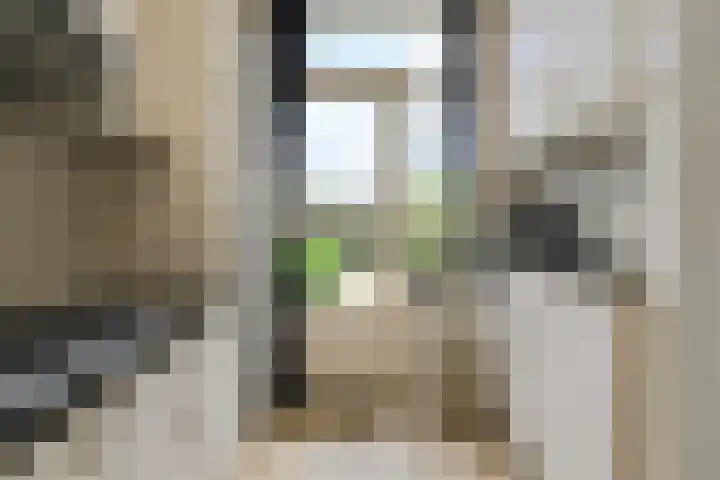 Lisztstraat 17 Oosterhout thumbnail 13