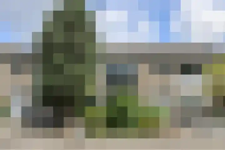 Lisztstraat 17 Oosterhout thumbnail 41
