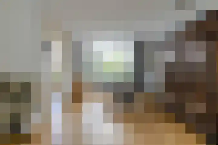 Lisztstraat 17 Oosterhout thumbnail 9
