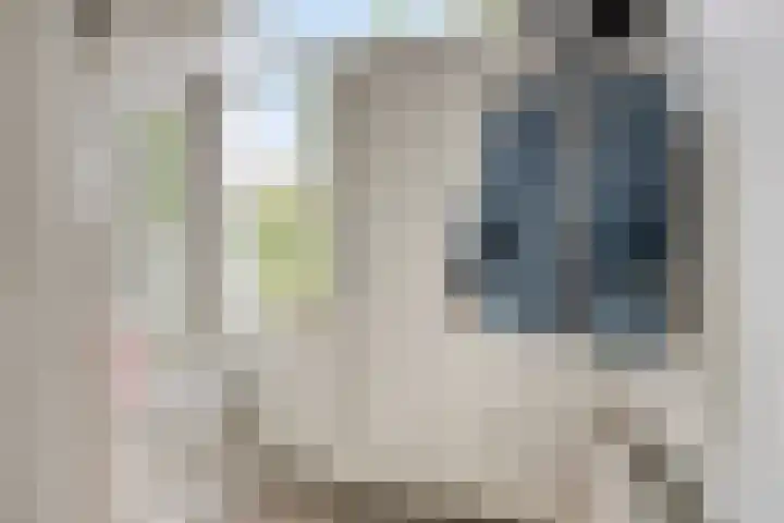 Lisztstraat 20 Drunen thumbnail 11