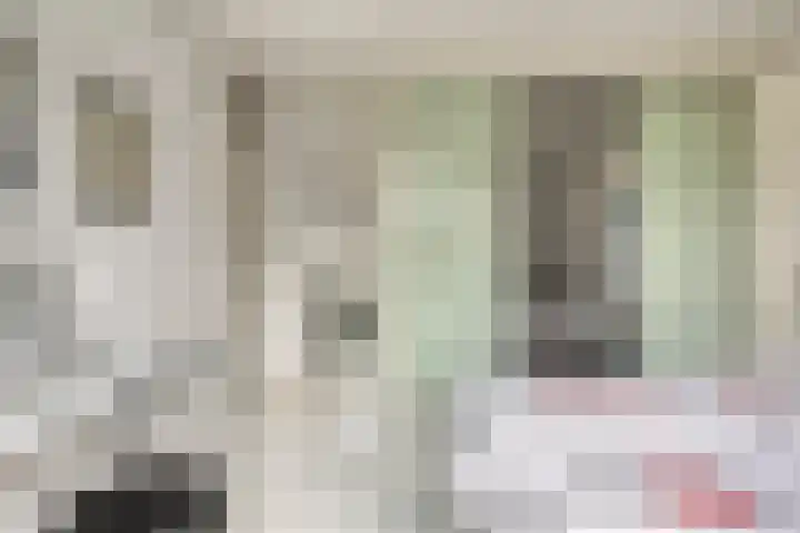 Lisztstraat 20 Drunen thumbnail 14