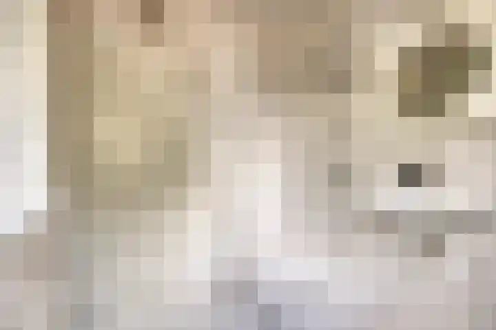Lisztstraat 20 Drunen thumbnail 15