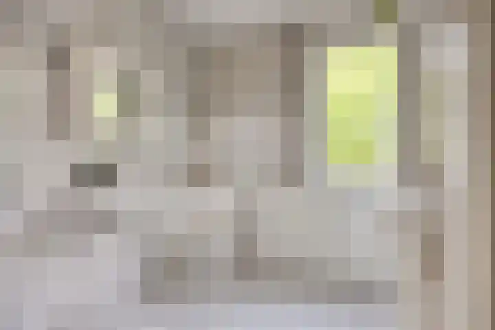 Lisztstraat 20 Drunen thumbnail 16