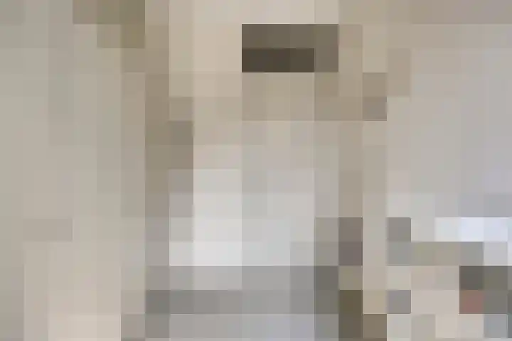 Lisztstraat 20 Drunen thumbnail 20