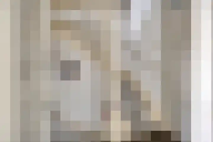 Lisztstraat 20 Drunen thumbnail 21