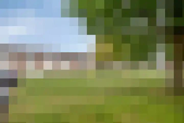 Lisztstraat 20 Drunen thumbnail 33