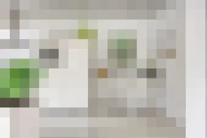 Lisztstraat 20 Drunen thumbnail 4