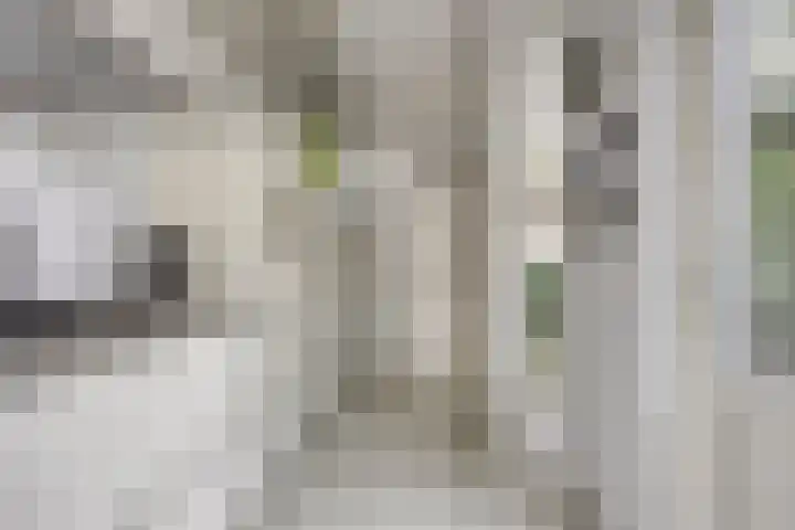 Lisztstraat 20 Drunen thumbnail 6
