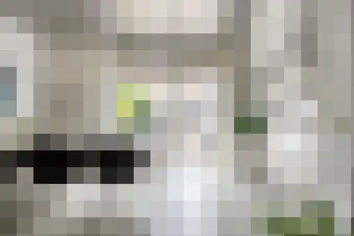 Lisztstraat 20 Drunen thumbnail 8