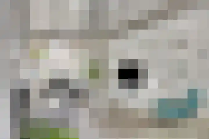 Lisztstraat 20 Drunen thumbnail 9
