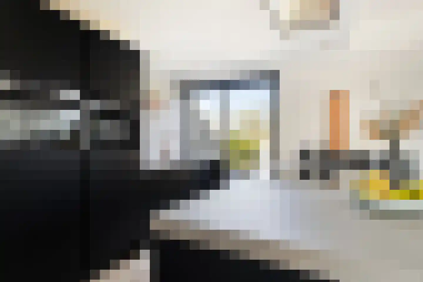 Lisztstraat 22 Alkmaar thumbnail 10