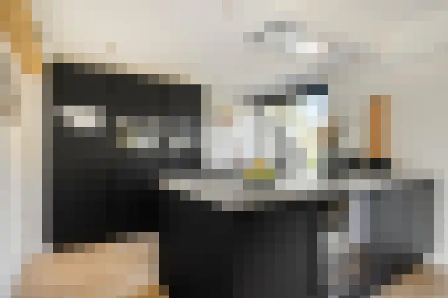 Lisztstraat 22 Alkmaar thumbnail 13