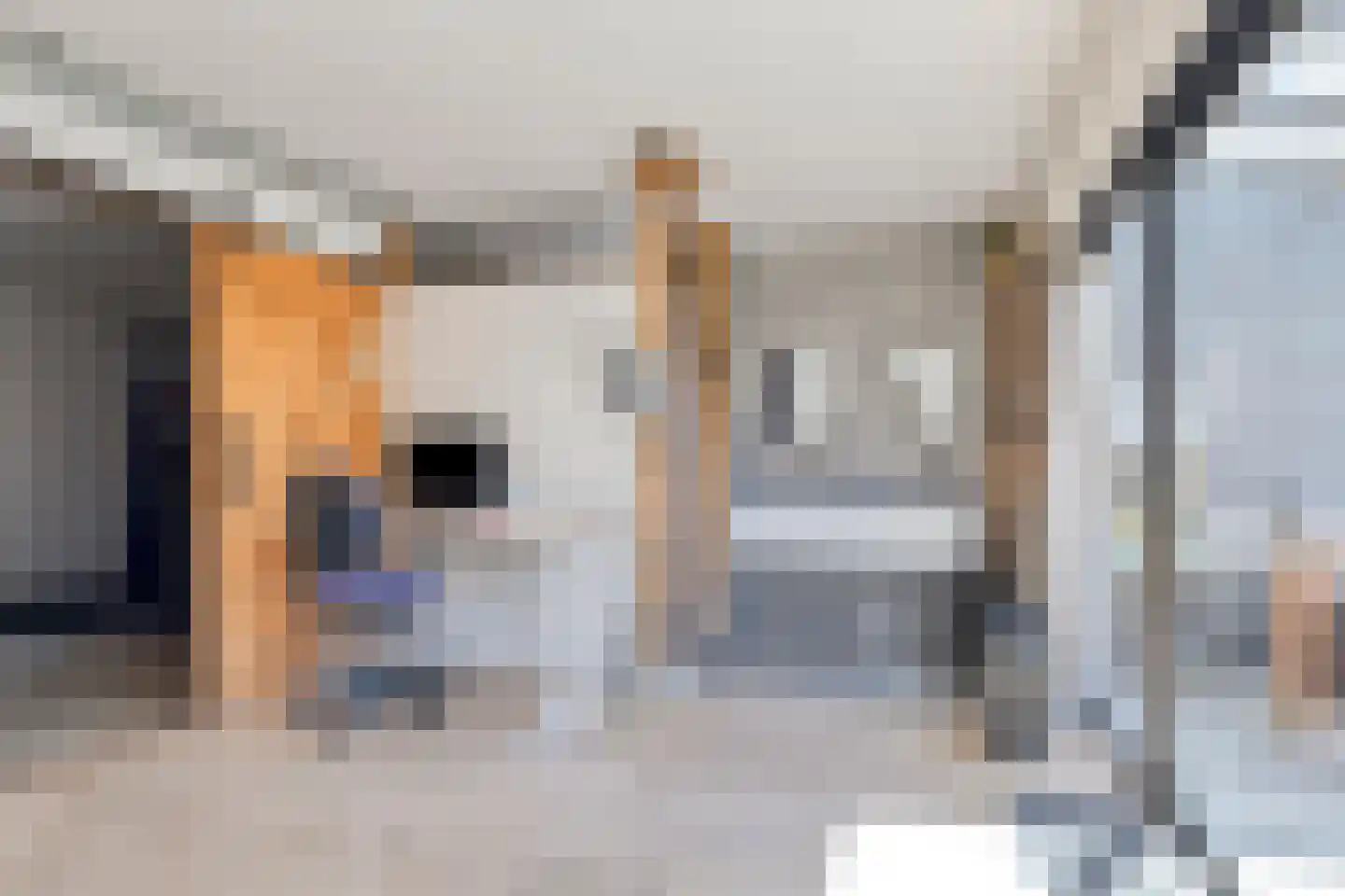 Lisztstraat 22 Alkmaar thumbnail 23