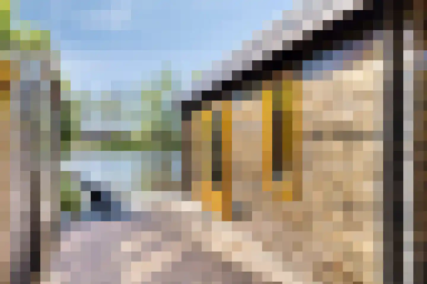 Lisztstraat 22 Alkmaar thumbnail 29