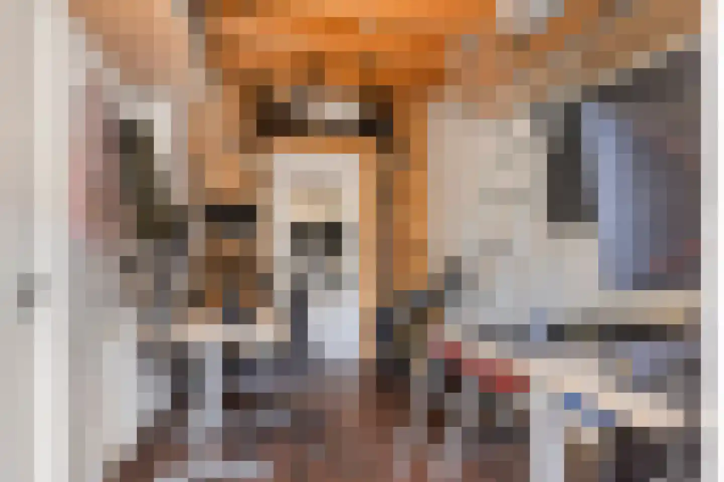 Lisztstraat 23 Almelo thumbnail 33