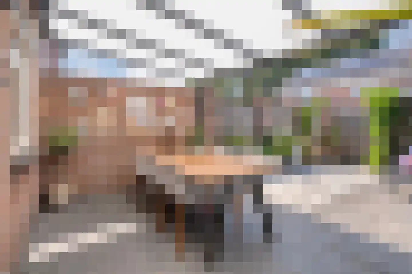 Lisztstraat 26 Nijverdal thumbnail 41