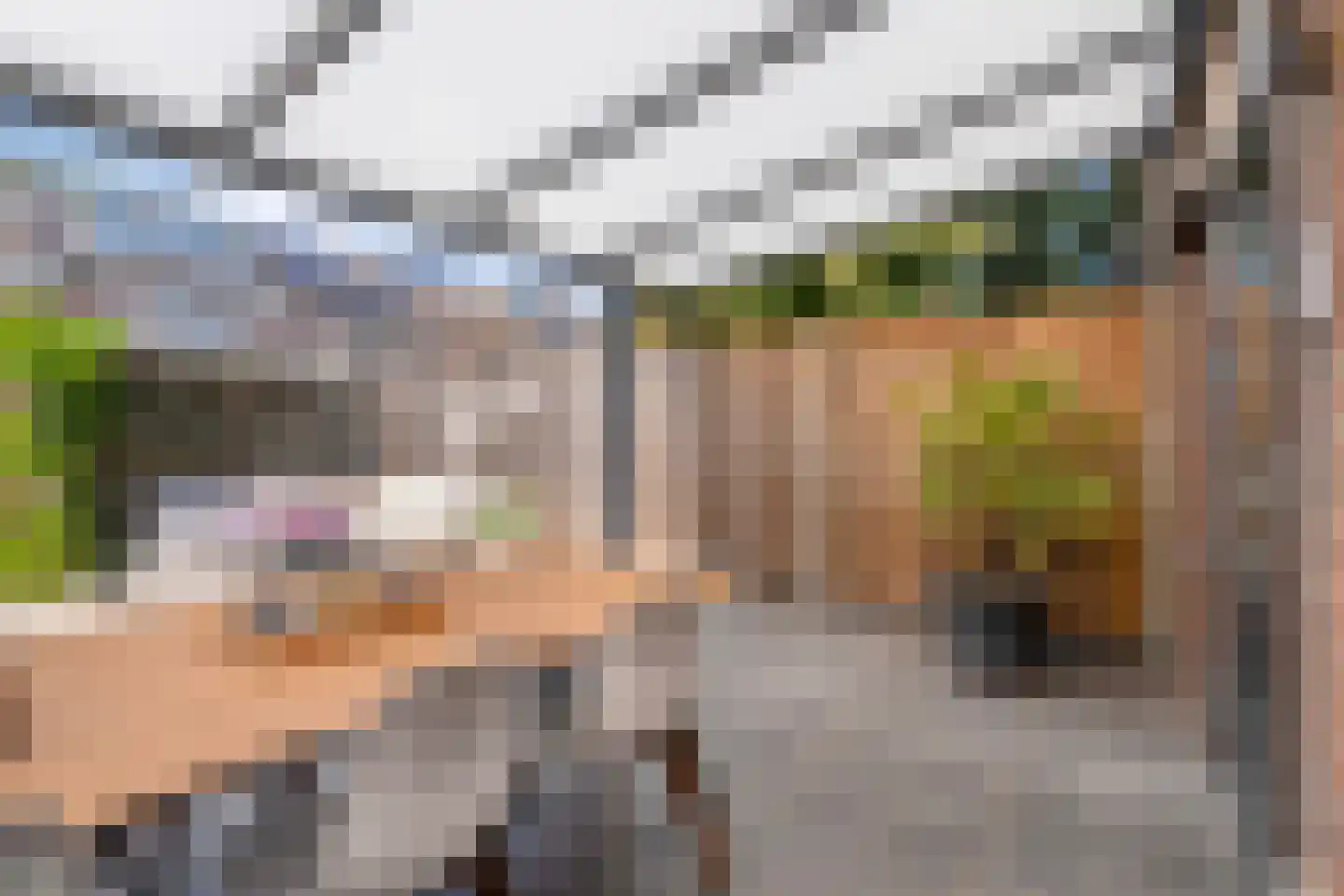 Lisztstraat 26 Nijverdal thumbnail 42