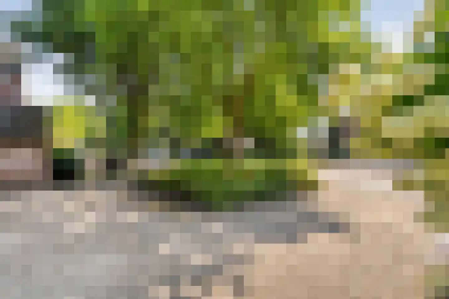 Lisztstraat 26 Nijverdal thumbnail 6