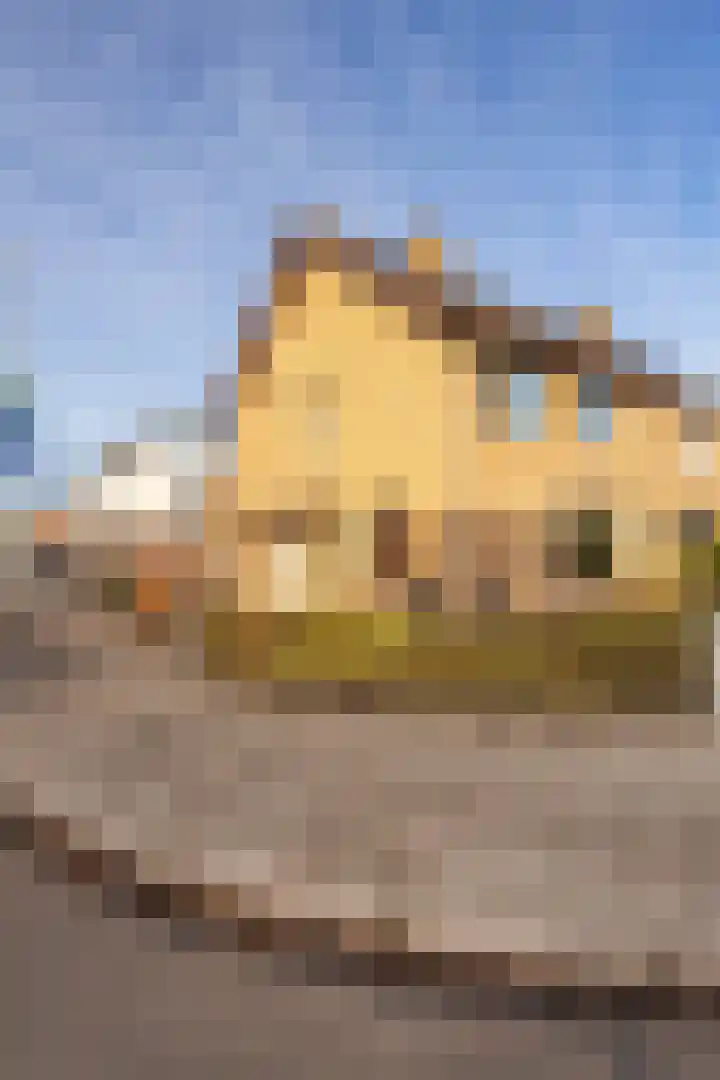 Lisztstraat 30 Sittard thumbnail 39