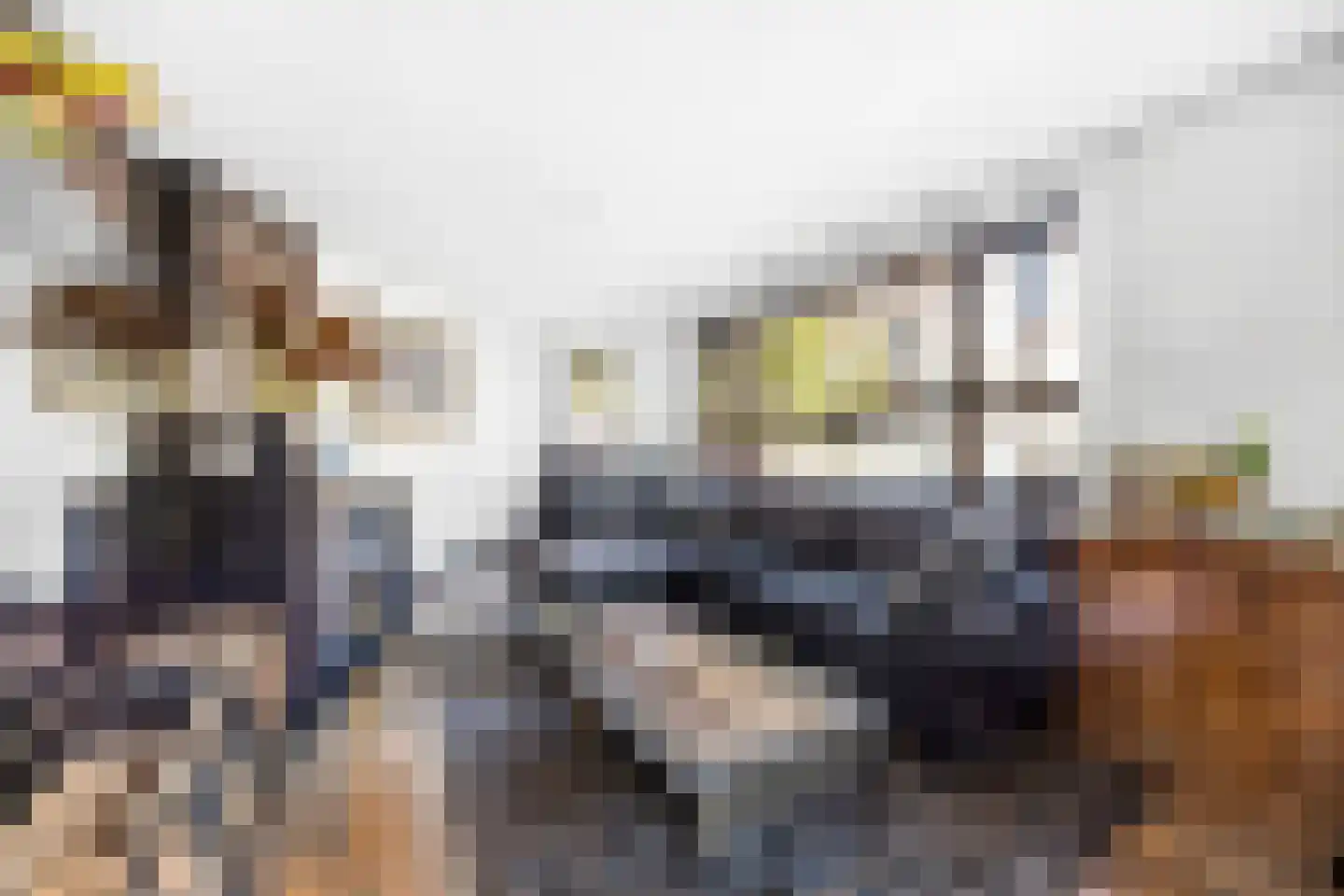 Lisztstraat 32 Den Haag thumbnail 8