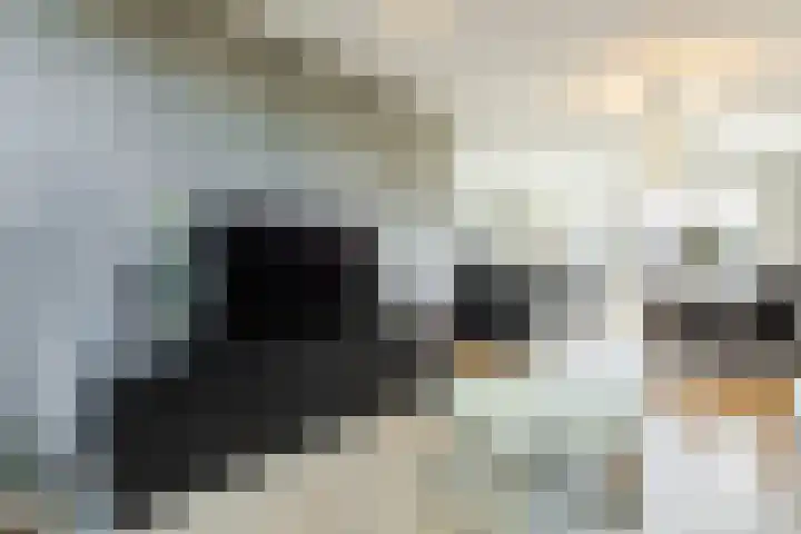 Lisztstraat 34 Halsteren thumbnail 14
