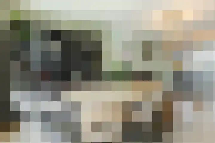 Lisztstraat 34 Halsteren thumbnail 17