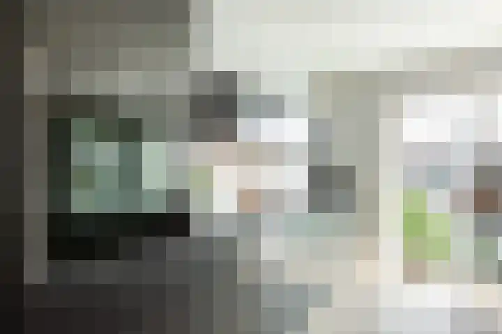 Lisztstraat 34 Halsteren thumbnail 19