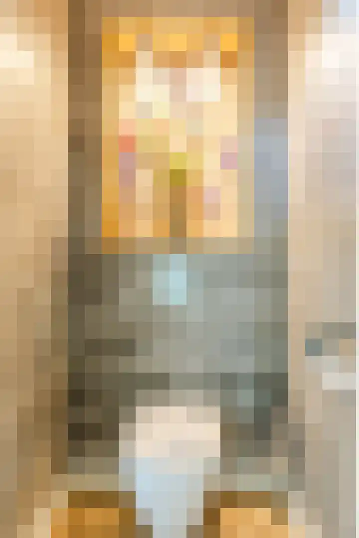 Lisztstraat 34 Halsteren thumbnail 22