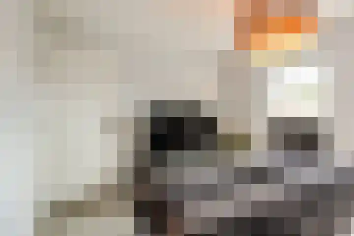 Lisztstraat 34 Halsteren thumbnail 25