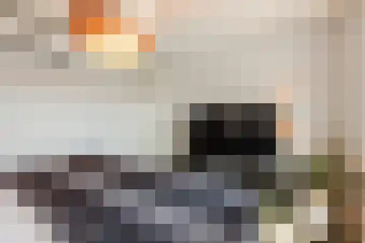 Lisztstraat 34 Halsteren thumbnail 26