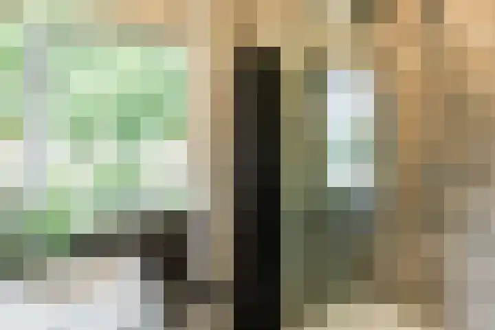 Lisztstraat 34 Halsteren thumbnail 30