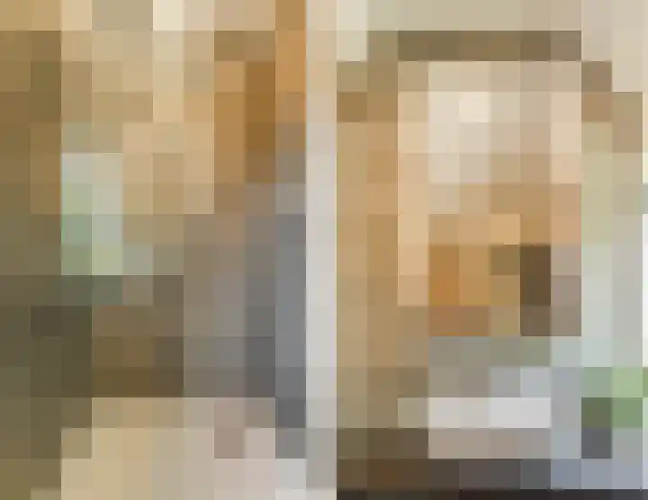 Lisztstraat 34 Halsteren thumbnail 33