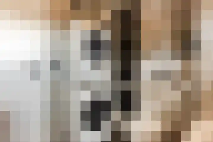 Lisztstraat 34 Halsteren thumbnail 34