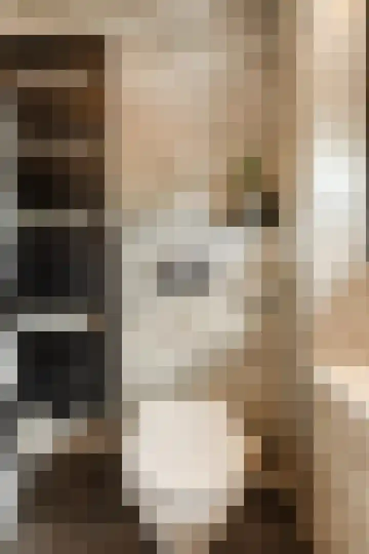 Lisztstraat 34 Halsteren thumbnail 36