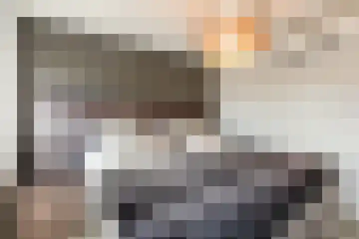 Lisztstraat 34 Halsteren thumbnail 4