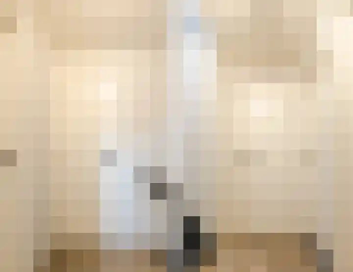 Lisztstraat 34 Halsteren thumbnail 40